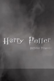 Harry Potter: Different Perspective